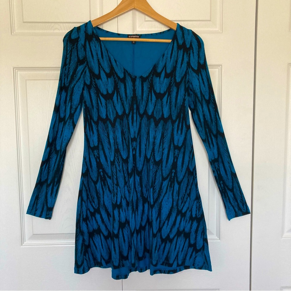 Express swing dress
